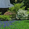 池映