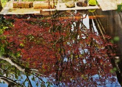 水鏡