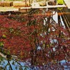 水鏡