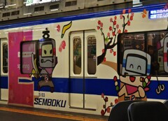 せんぼく