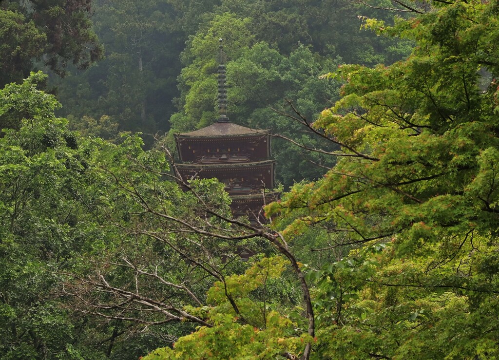 霞む五重
