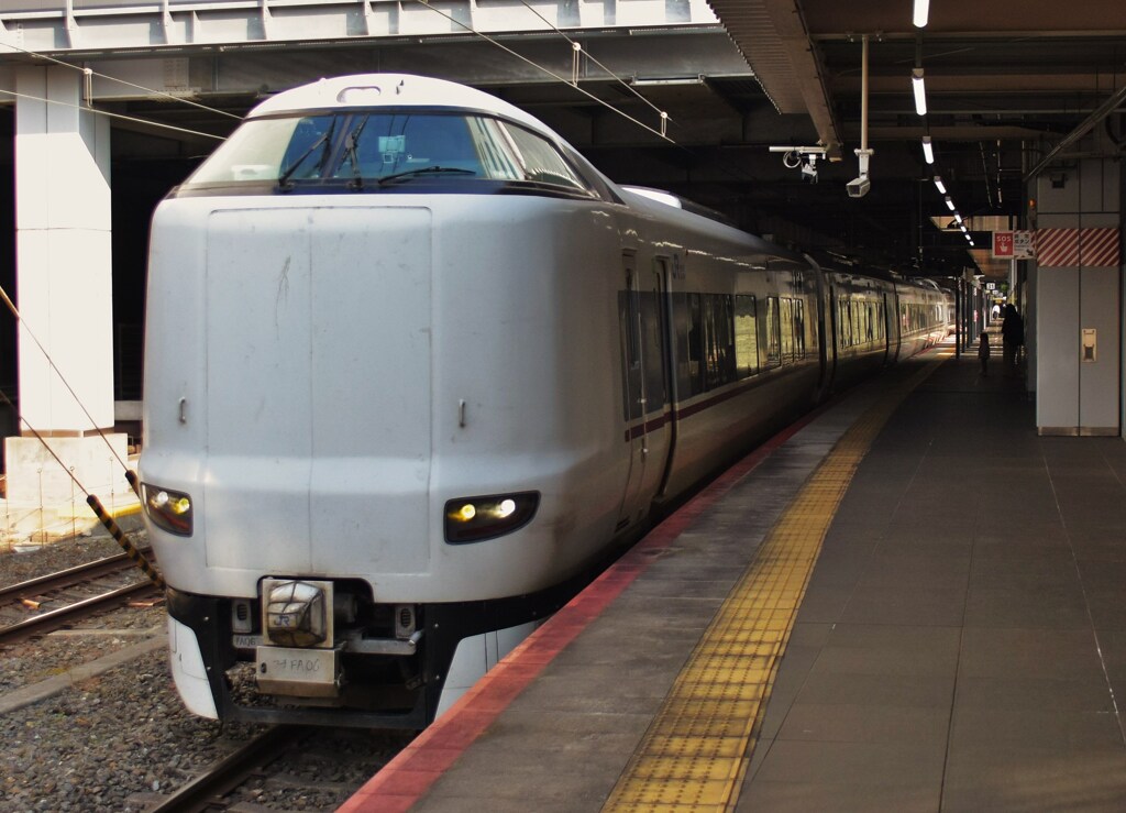 まいづる･はしだて