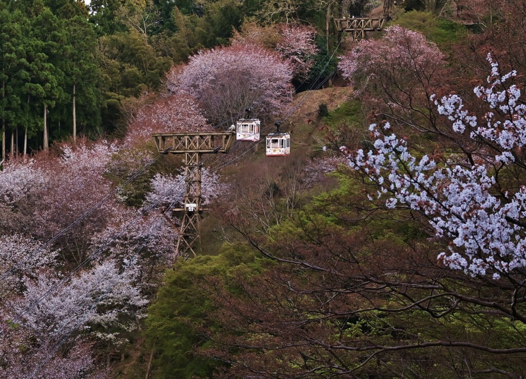 空中