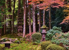 紅静