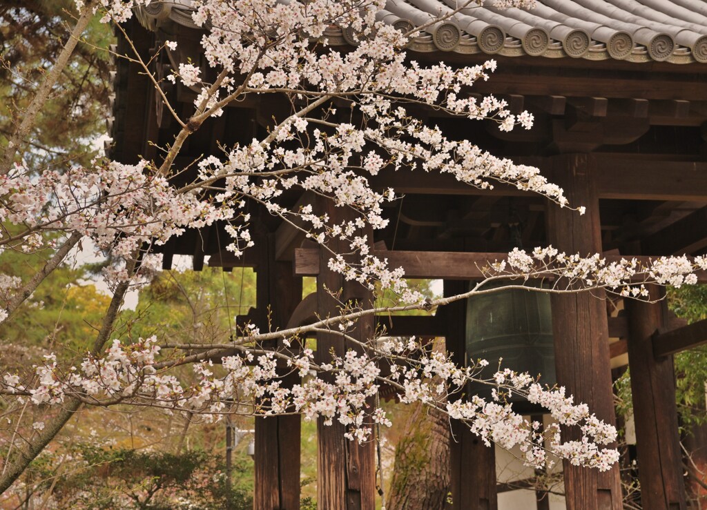 鐘と花