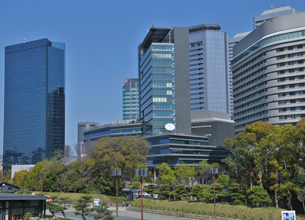 大都会