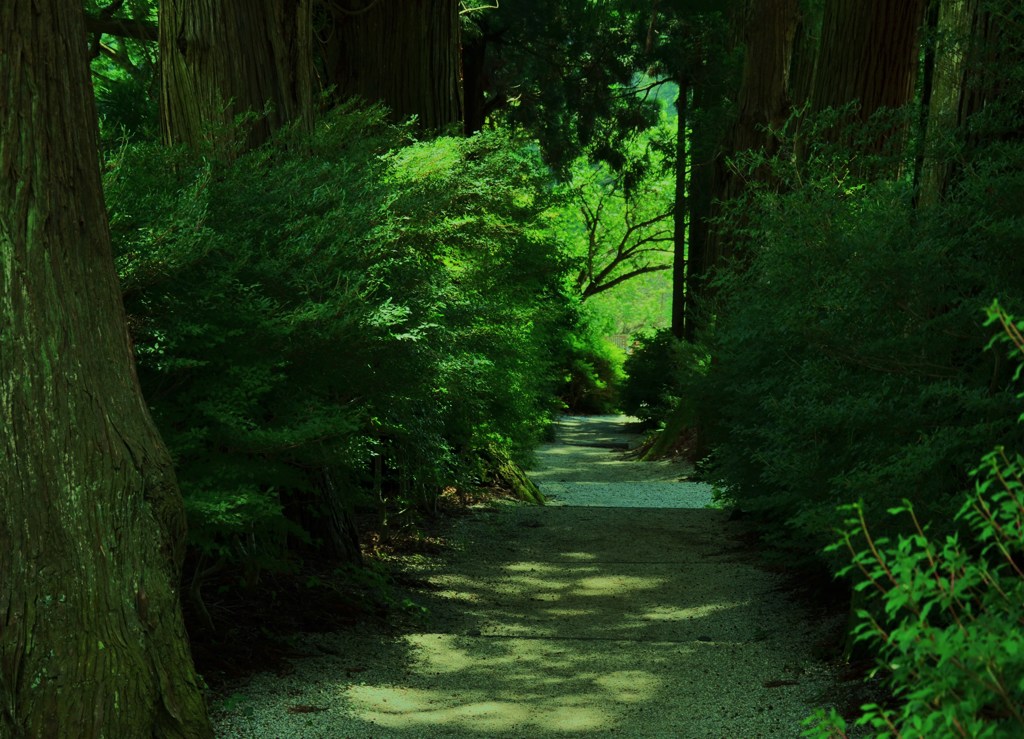 古道
