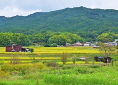 里山