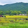 里山