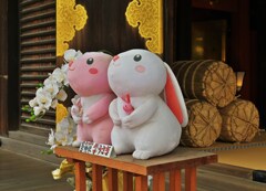 ウサギ