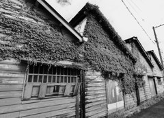 遺産