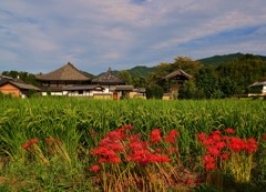 山寺