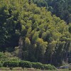 里山
