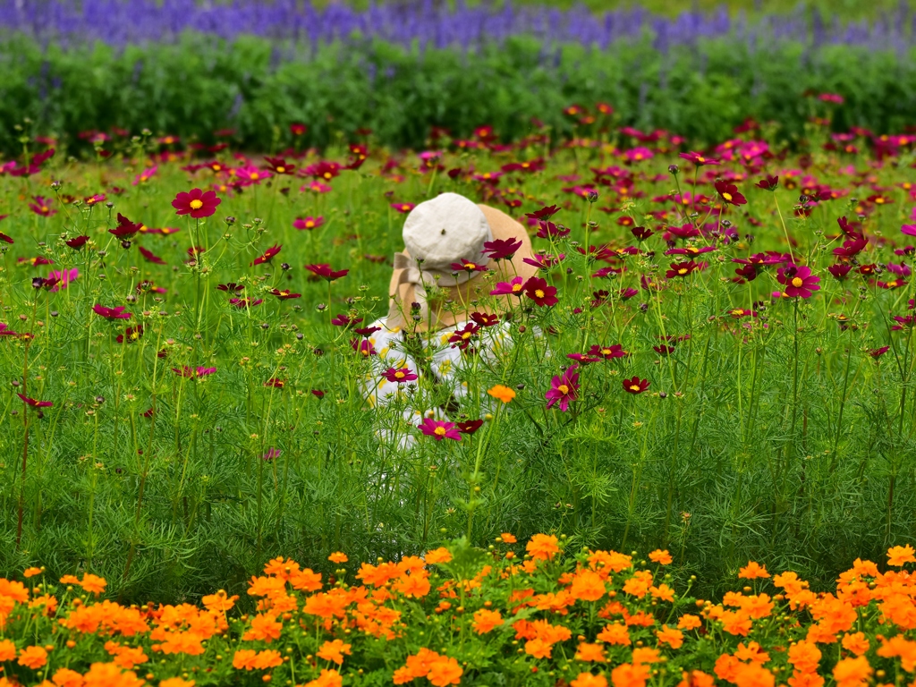花中