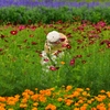 花中
