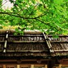 屋根の妙