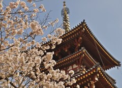 塔を背景に