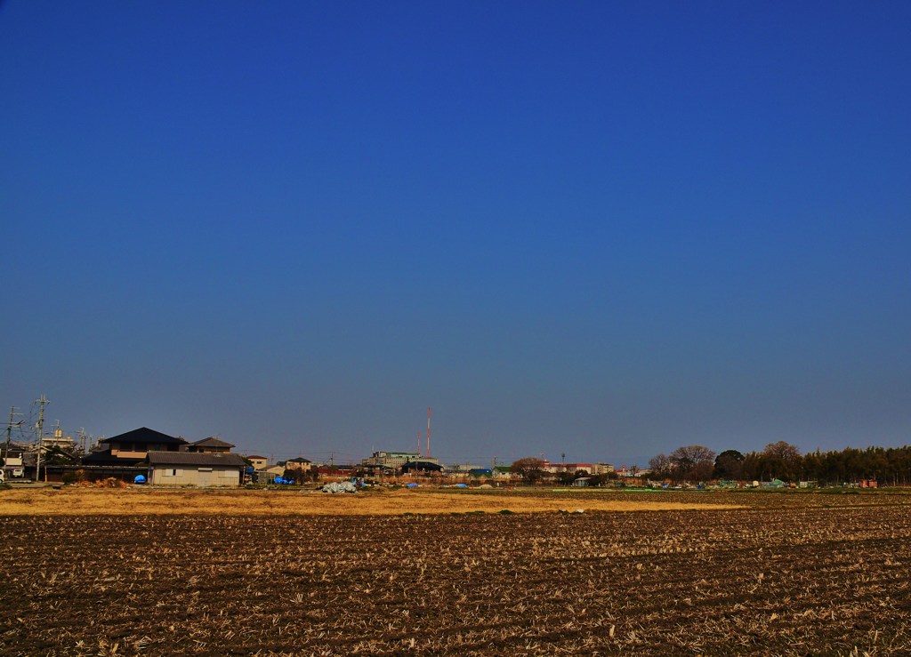 遠望