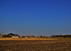 遠望