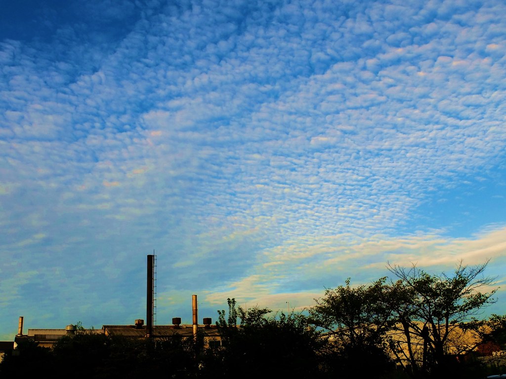 夕雲