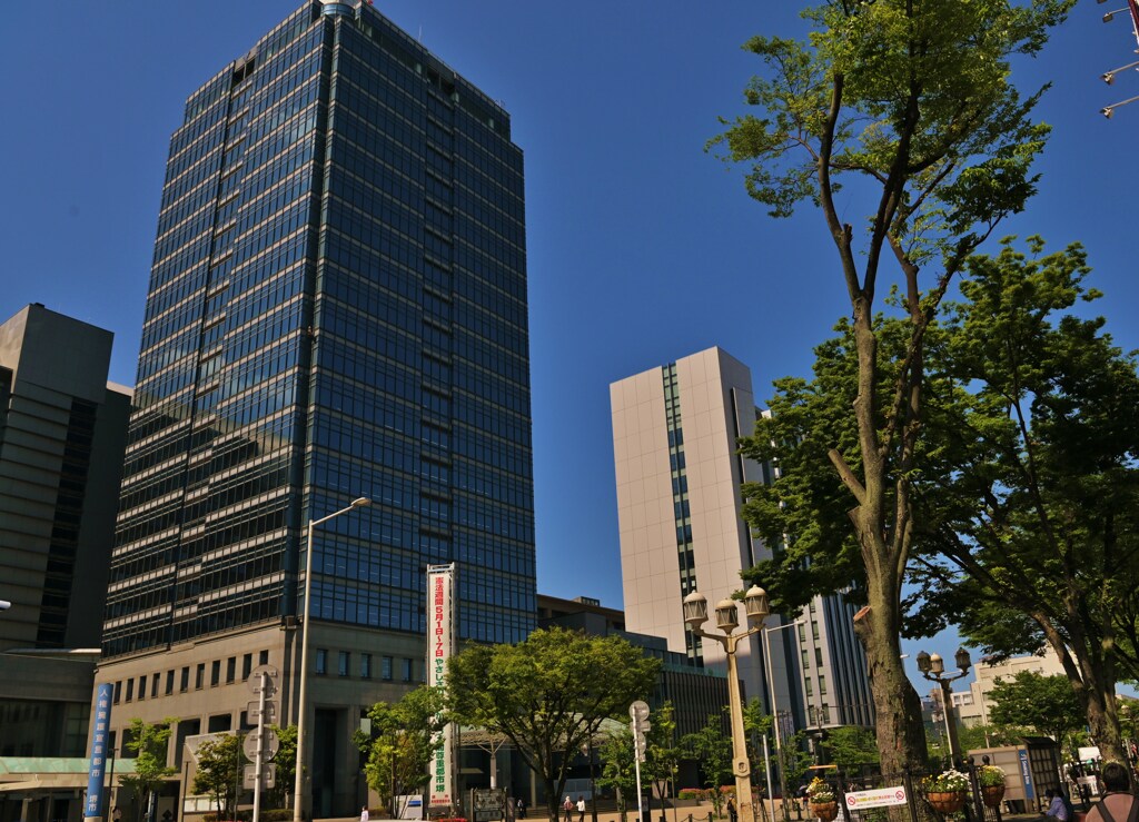 市役所