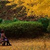 黄映