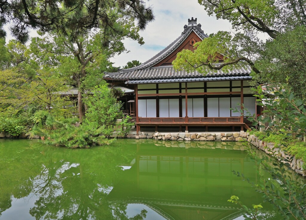 庭池