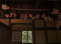 家屋