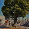 北田辺の大楠