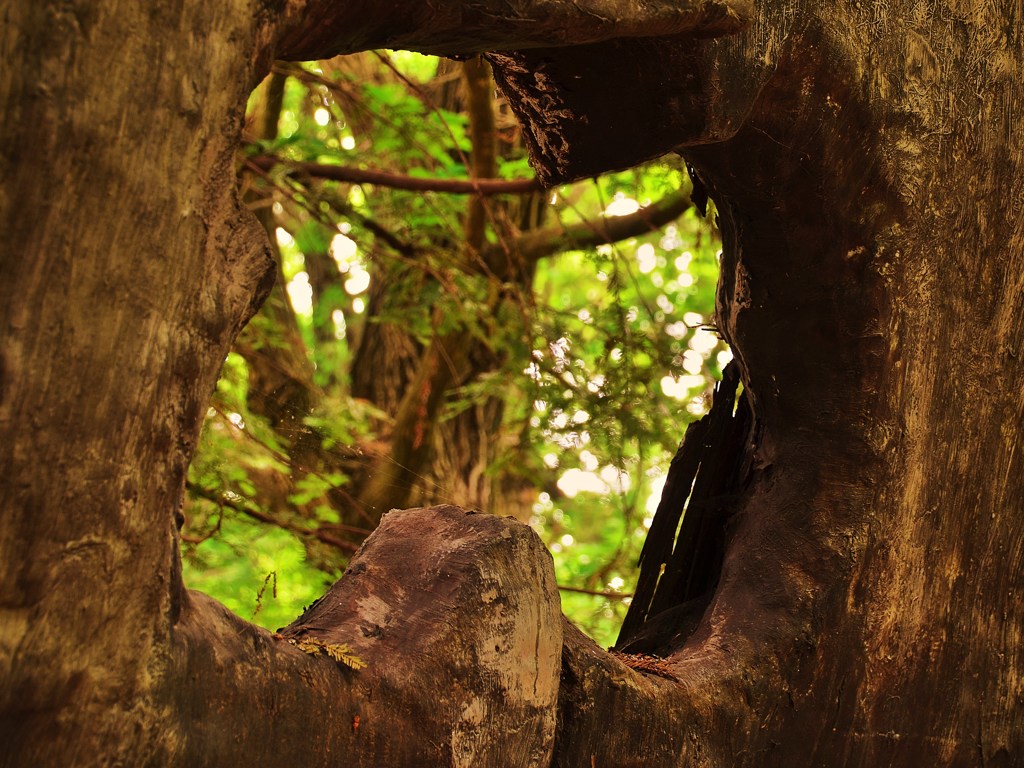風穴
