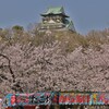 いつもの景色