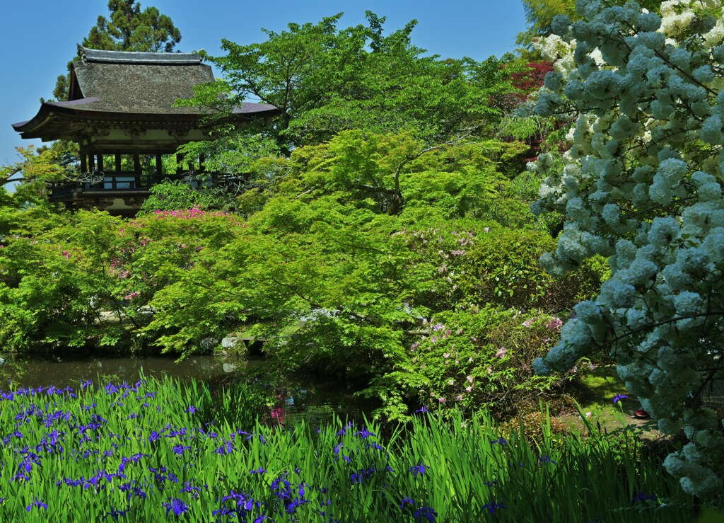池映