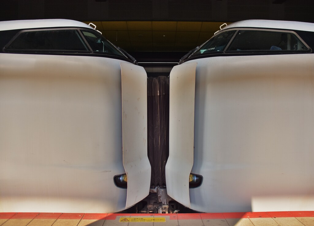 まいづる･はしだて