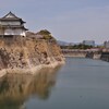 櫻満開