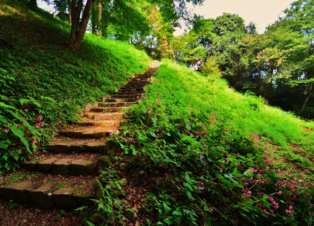 登る