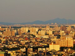 夕照
