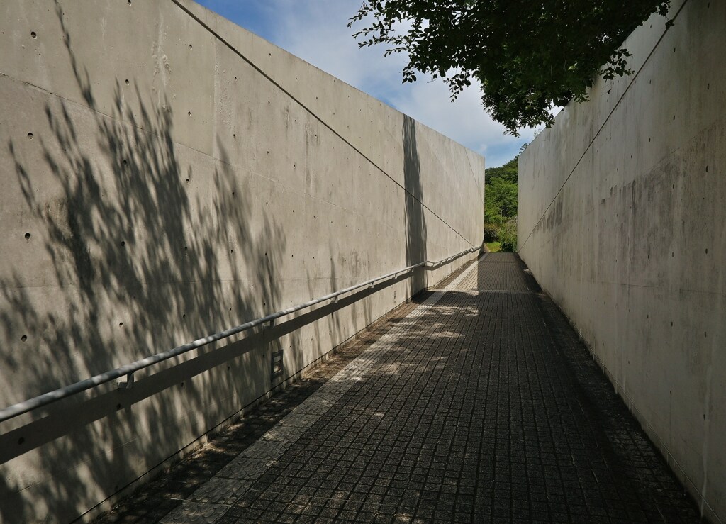 通路