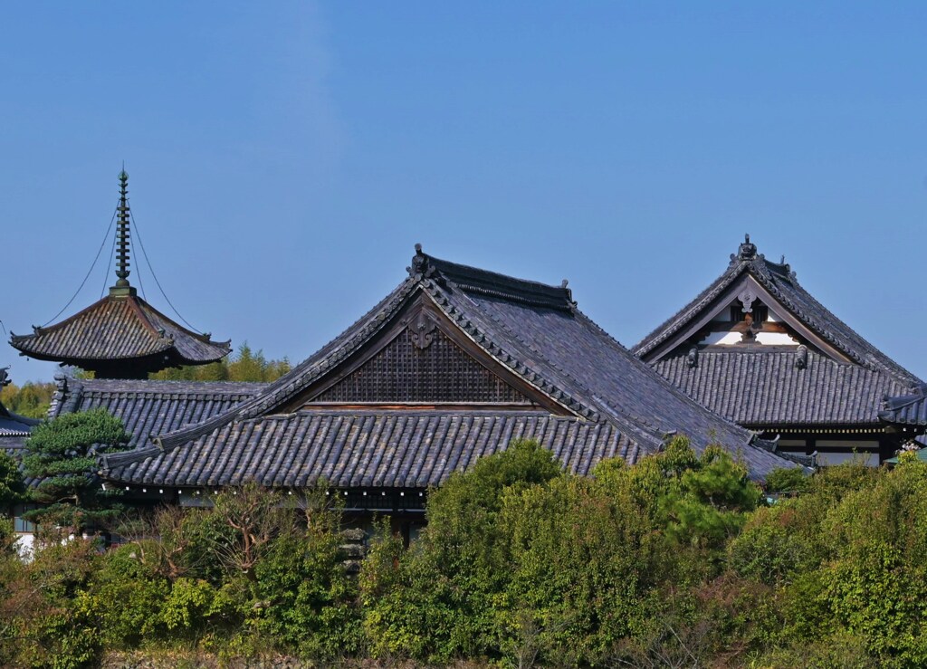 寺院