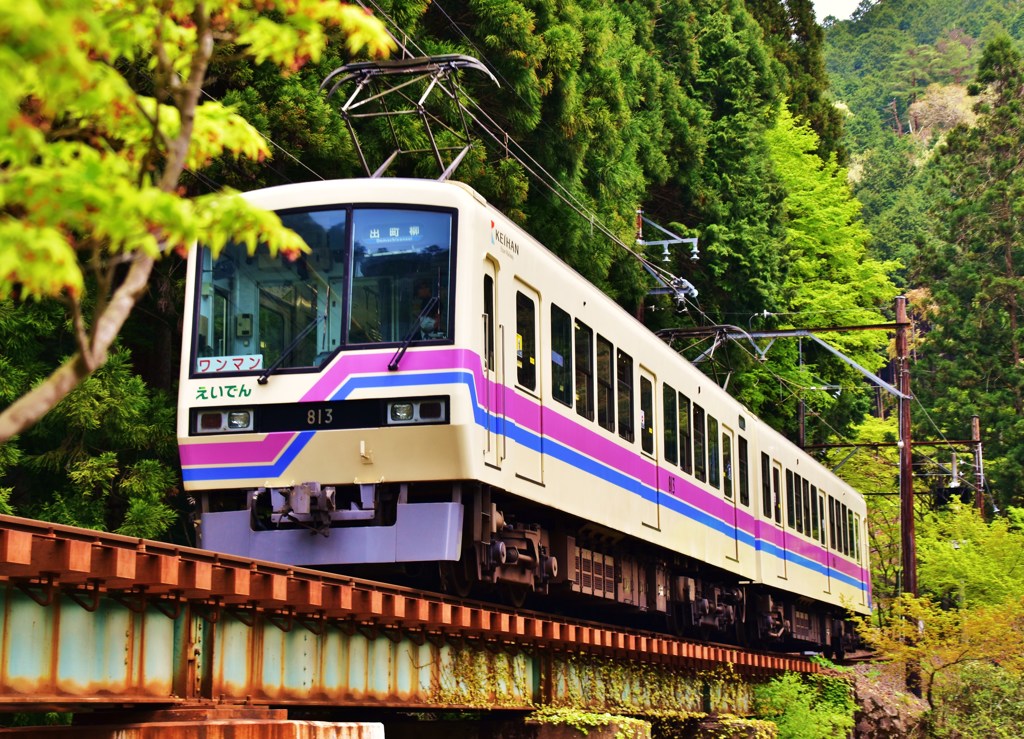 緑中