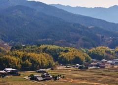 里山