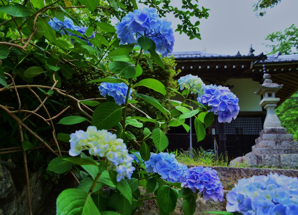 坂上