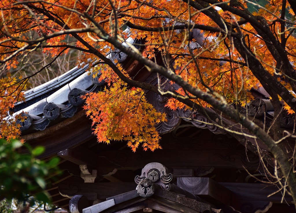 古寺