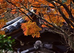 古寺