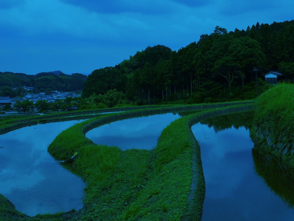 青景