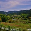 棚田