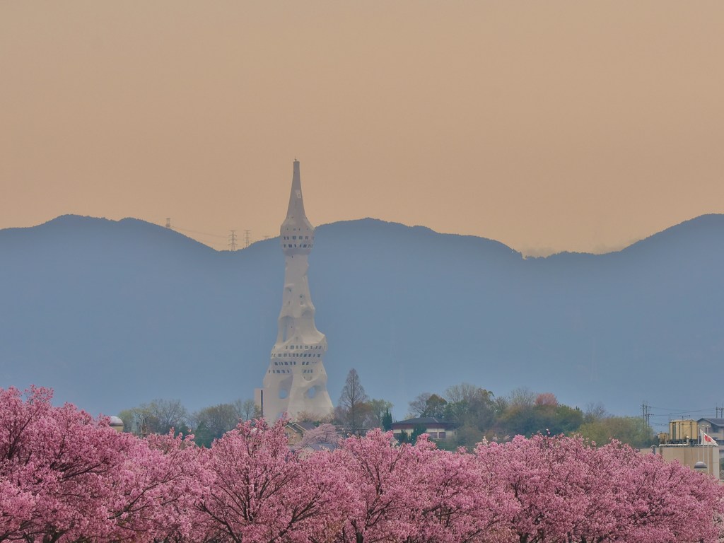 遠望