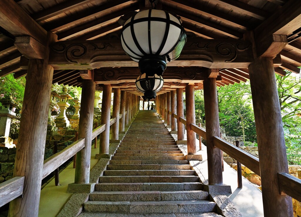登る