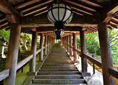 登る