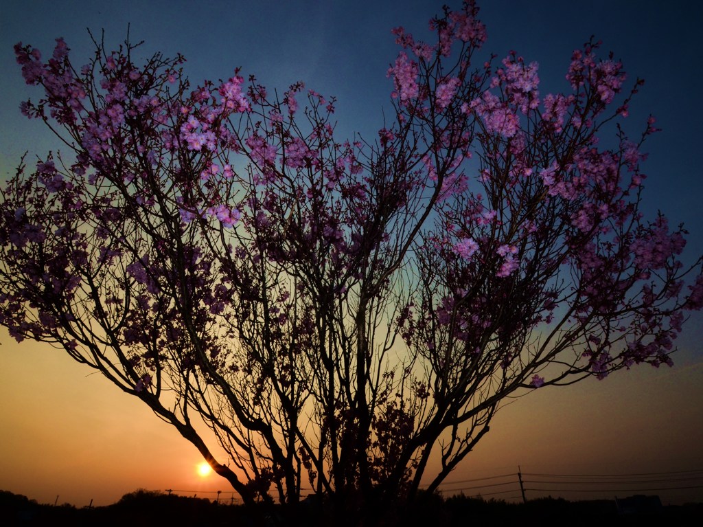 夕闇
