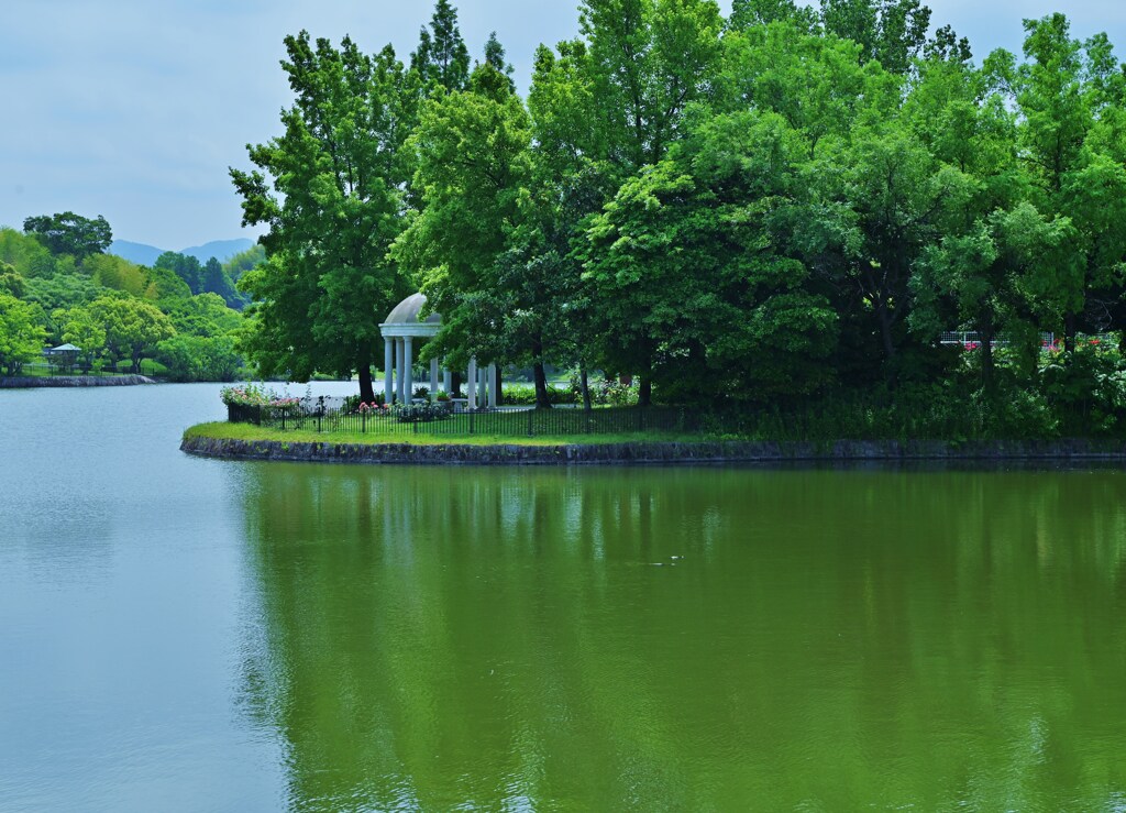 対岸美
